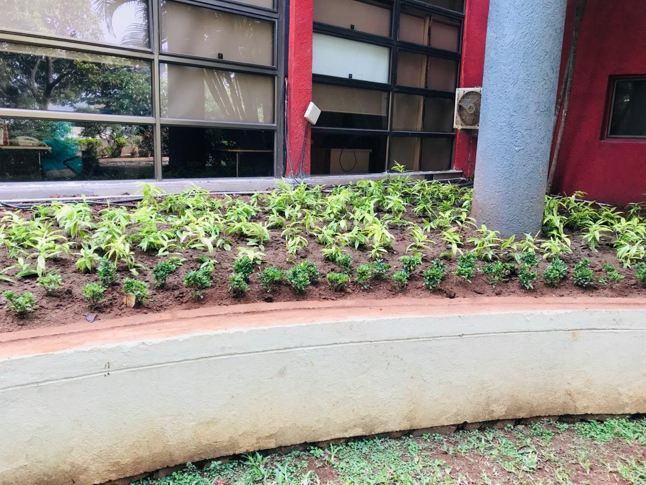 Commercial Project 17